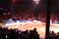 BAC 2011/01/08 - 133