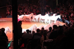 BAC 2011/01/08 - 136