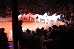 BAC 2011/01/08 - 137