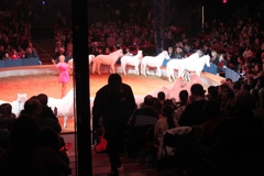 BAC 2011/01/08 - 138