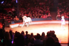 BAC 2011/01/08 - 139