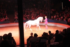 BAC 2011/01/08 - 143