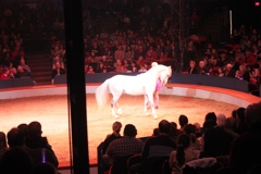 BAC 2011/01/08 - 144