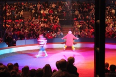 BAC 2011/01/08 - 149