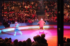 BAC 2011/01/08 - 150