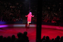 BAC 2011/01/08 - 152