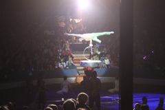 BAC 2011/01/08 - 195