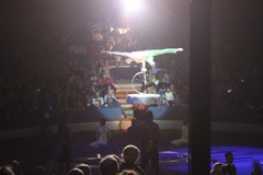 BAC 2011/01/08 - 196