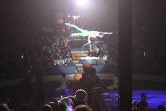 BAC 2011/01/08 - 199