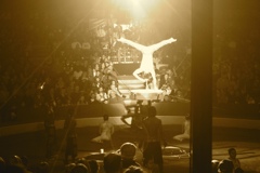 BAC 2011/01/08 - 200