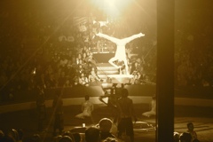 BAC 2011/01/08 - 201