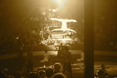 BAC 2011/01/08 - 202