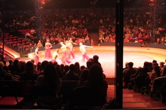 BAC 2011/01/08 - 228