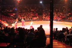 BAC 2011/01/08 - 233