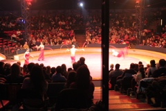 BAC 2011/01/08 - 234