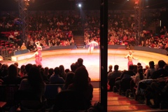 BAC 2011/01/08 - 236