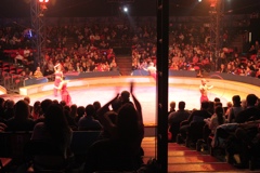 BAC 2011/01/08 - 237