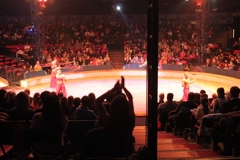 BAC 2011/01/08 - 238