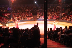 BAC 2011/01/08 - 239