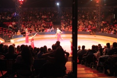 BAC 2011/01/08 - 240