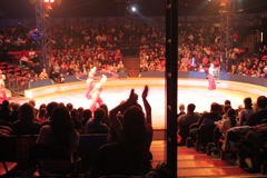 BAC 2011/01/08 - 245