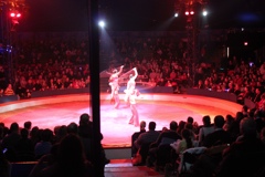 BAC 2011/01/08 - 246