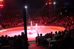 BAC 2011/01/08 - 251