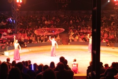 BAC 2011/01/08 - 270