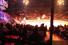 BAC 2011/01/08 - 272