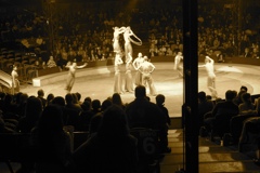 BAC 2011/01/08 - 276