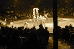 BAC 2011/01/08 - 277