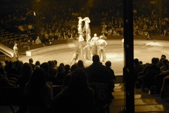 BAC 2011/01/08 - 278