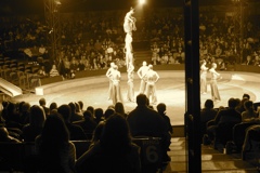 BAC 2011/01/08 - 282