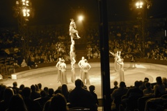 BAC 2011/01/08 - 290