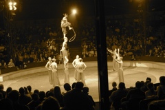 BAC 2011/01/08 - 294