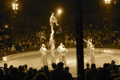 BAC 2011/01/08 - 295