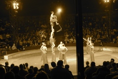 BAC 2011/01/08 - 297