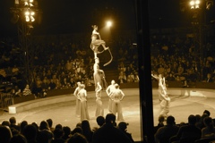 BAC 2011/01/08 - 309