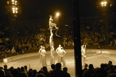 BAC 2011/01/08 - 312