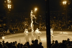 BAC 2011/01/08 - 313