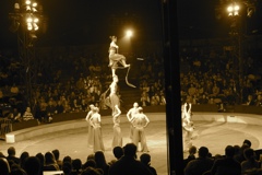 BAC 2011/01/08 - 314