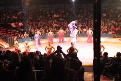 BAC 2011/01/08 - 330