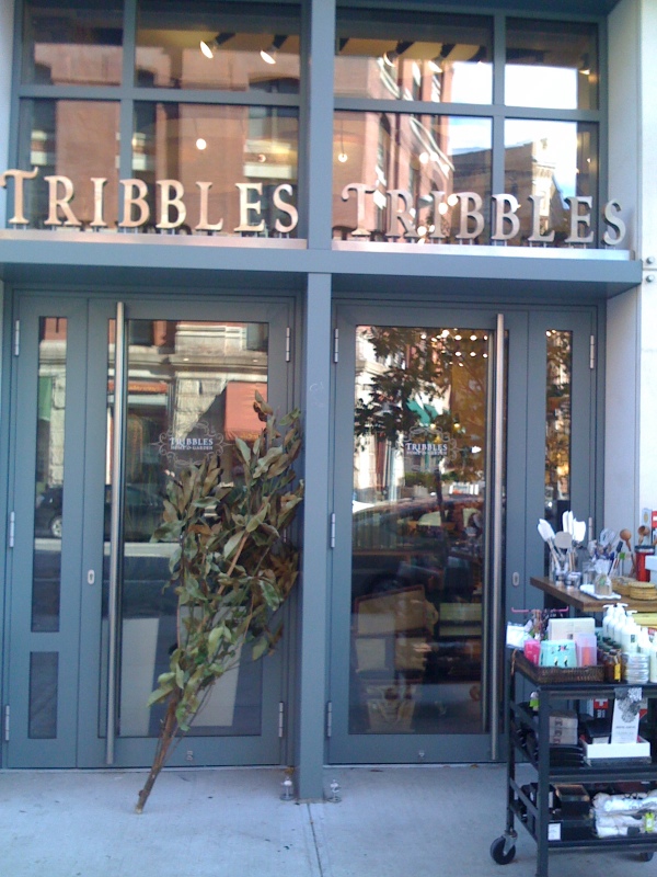 Tribbles 2