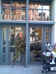 Tribbles 2