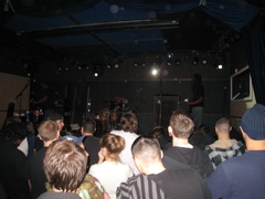 Whole Wheat Bread - 1