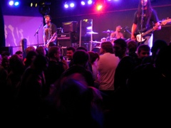 Whole Wheat Bread - 4