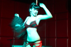 Hazel Honeysuckle - 3