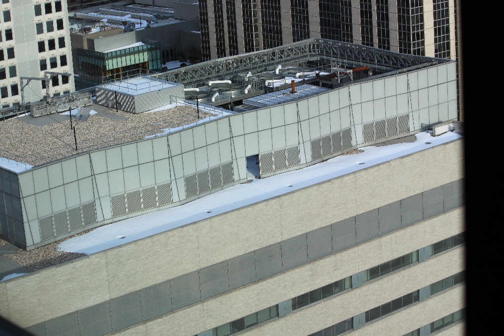 1305 York Ave, roof