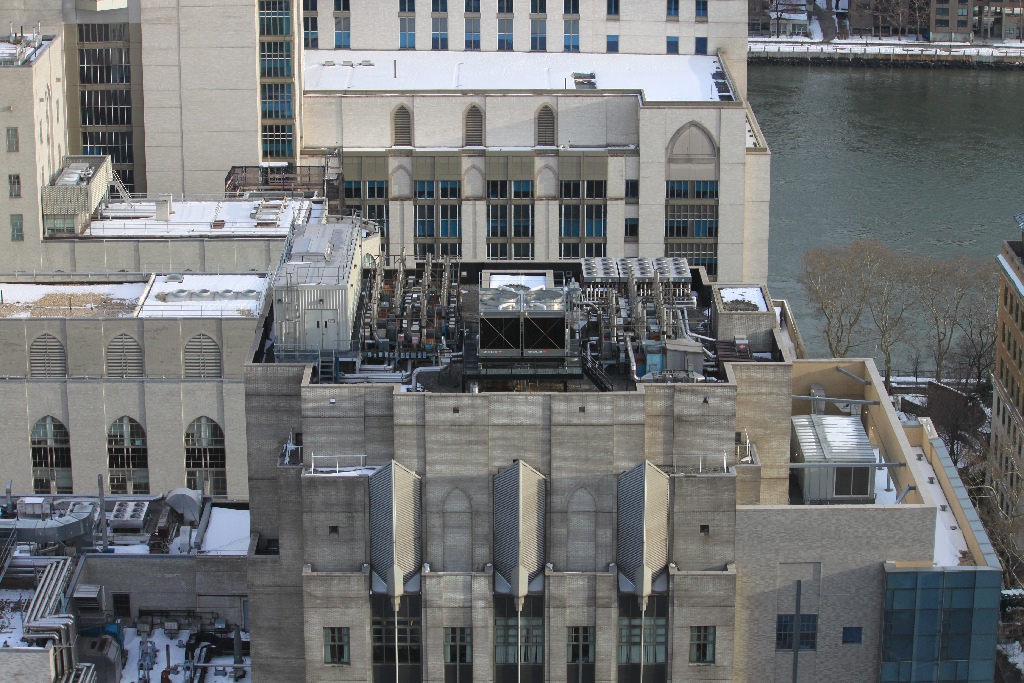 Cornell/WMC