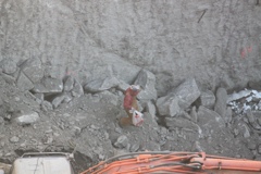 Workman
